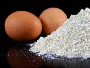 Egg Shell Powder