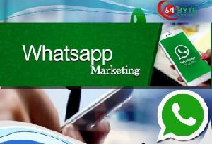 Bulk Whatsapp marketing service
