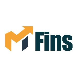 Mfins Amazon Easy Store Franchise services