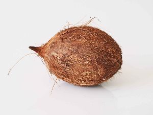 Semi Husked Coconut