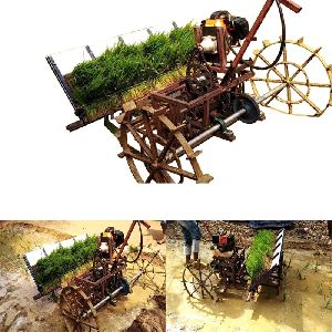 Engine Operated Rice/Paddy Transplanter