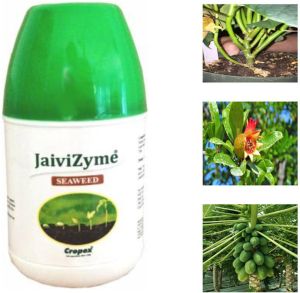 JaiviZyme Seaweed Biostimulant