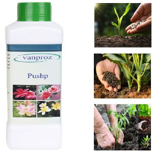 Organic Pushp