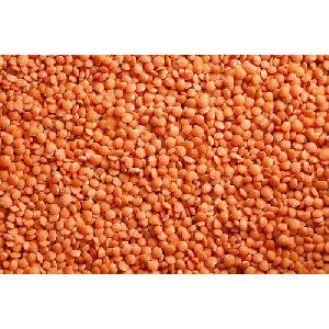 Split Red Masoor Dal