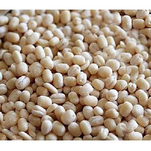 Whole White Urad Dal