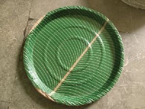 disposable paper plate