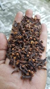 Cloves