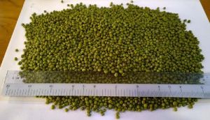 natural mung beans