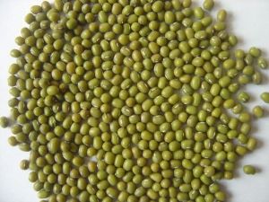 natural organic mung beans