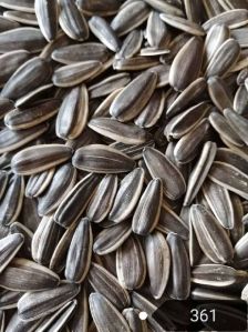 Organic Sunflower Seeds