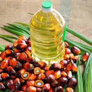 Palm Olein Oil