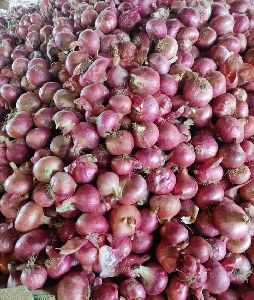 Red Onion