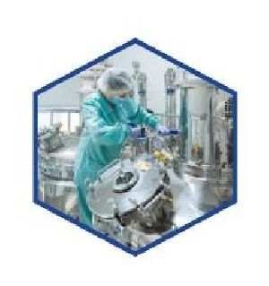 Pharmaceutical & Speciality Chemicals
