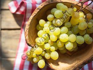 Fresh Grapes