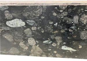 Bassi Black Granite Slab