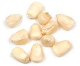 Dehydrated White Corn