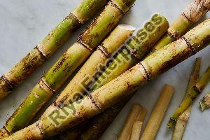 Fresh Sugarcane