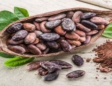 Cocoa Seeds