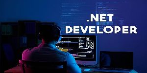 .Net Developer Ser