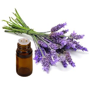 Lavender Essential Oil