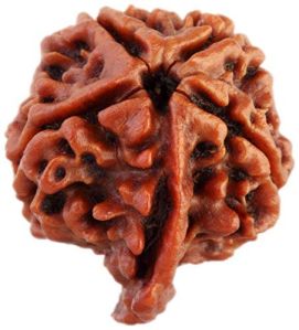 Ganesh Rudraksha