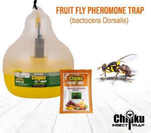 Chipku Bactocera Dorsalis Fruit Fly Outdoor maxplus/Macphill Pheromne Trap with Lure