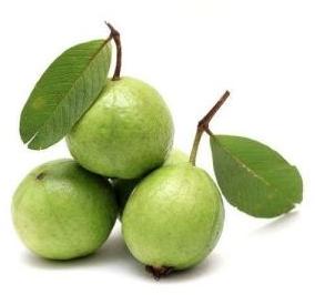 Fresh Guava