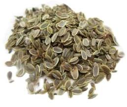 Raw Dill Seeds