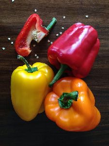 Color Capsicum