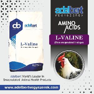 Animal feed Supplement