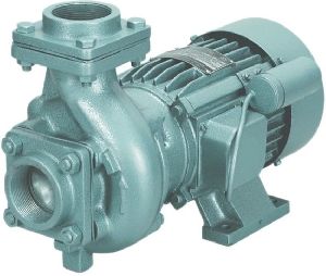 domestic water motor