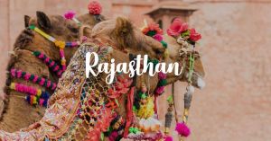 Rajasthan tour packages