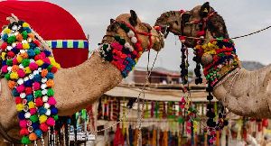 Rajasthan Budget Tours