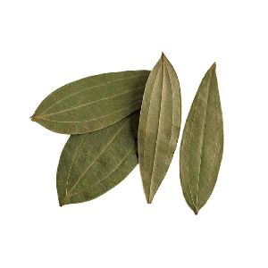 Bay leaf, Bay leaf powder