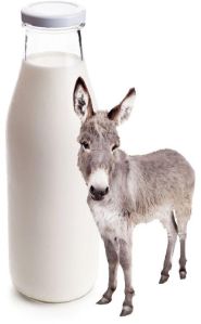 Donkey Milk