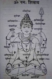 Shiva Oil