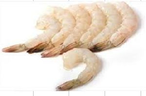Cooked Tail On Shrimp