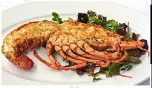 Whole Cooked Rock Lobster
