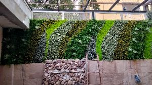 Green Walls