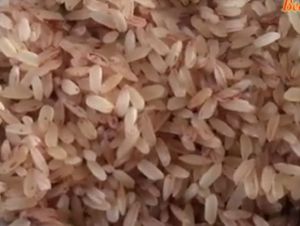 Brown Rice