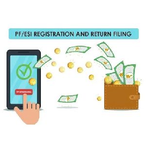 PF & ESI Registration And Return Filing