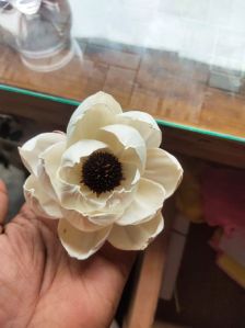 Star peony dry flower made by sola natural