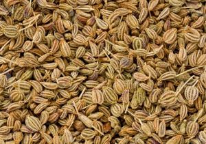 Carom Seeds / Caraway / Ajwain