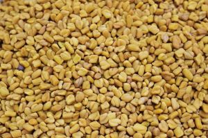 Fenugreek Seeds