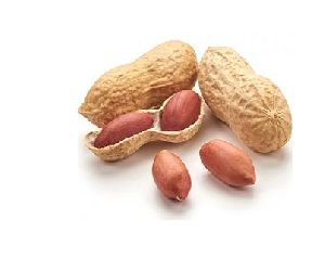 Peanuts / Groundnuts