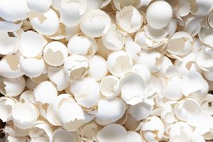 White Shell Eggs