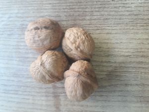 Walnuts