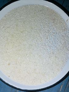 Nauty massuri rice