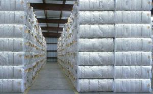 Cotton Bales