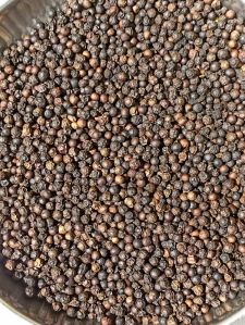 Black Pepper Seeds